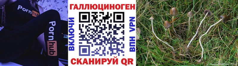 наркошоп  Брюховецкая  Псилоцибиновые грибы MAGIC MUSHROOMS 